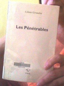Les pénétrables