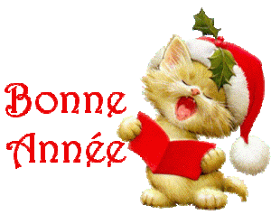bonne-annee-chat