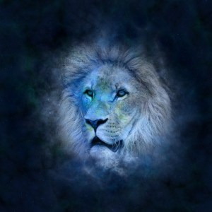 4lion2